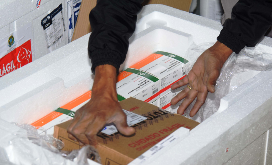 O Paraná recebeu mais 62 mil doses da vacina Coronavac, da parceria entre Sinovac e Instituto Butantan, nesta sexta-feira (14). As doses se referem a uma atualização na 19ª pauta de distribuição de vacinas contra a Covid-19 do Ministério da Saúde. Foto: Américo Antonio/SESA