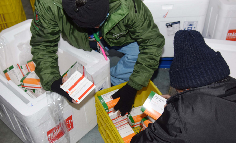 O Paraná recebeu mais 62 mil doses da vacina Coronavac, da parceria entre Sinovac e Instituto Butantan, nesta sexta-feira (14). As doses se referem a uma atualização na 19ª pauta de distribuição de vacinas contra a Covid-19 do Ministério da Saúde. Foto: Américo Antonio/SESA
