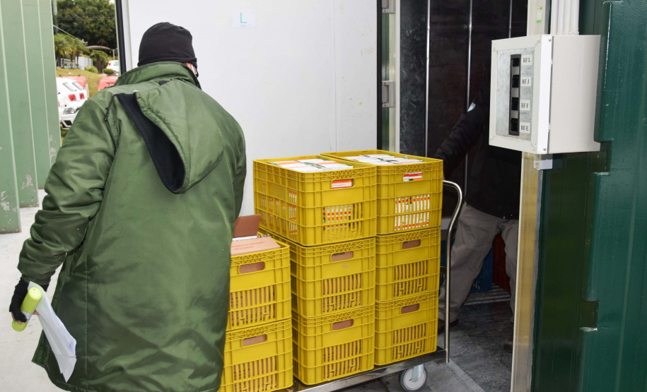 O Paraná recebeu mais 62 mil doses da vacina Coronavac, da parceria entre Sinovac e Instituto Butantan, nesta sexta-feira (14). As doses se referem a uma atualização na 19ª pauta de distribuição de vacinas contra a Covid-19 do Ministério da Saúde. Foto: Américo Antonio/SESA