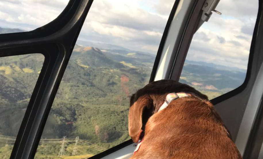 BPMOA encontra mulher perdida no Canyon Guartelá, nos Campos Gerais - 16/05/2021 - Foto: BPMOA/PMPR