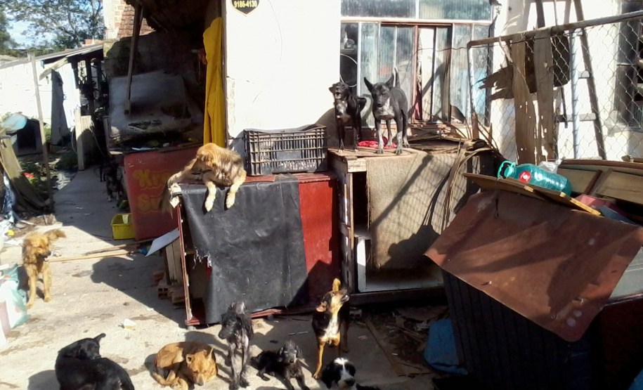 Pesquisa científica busca identificar acumuladores de animais. Foto: UFPR