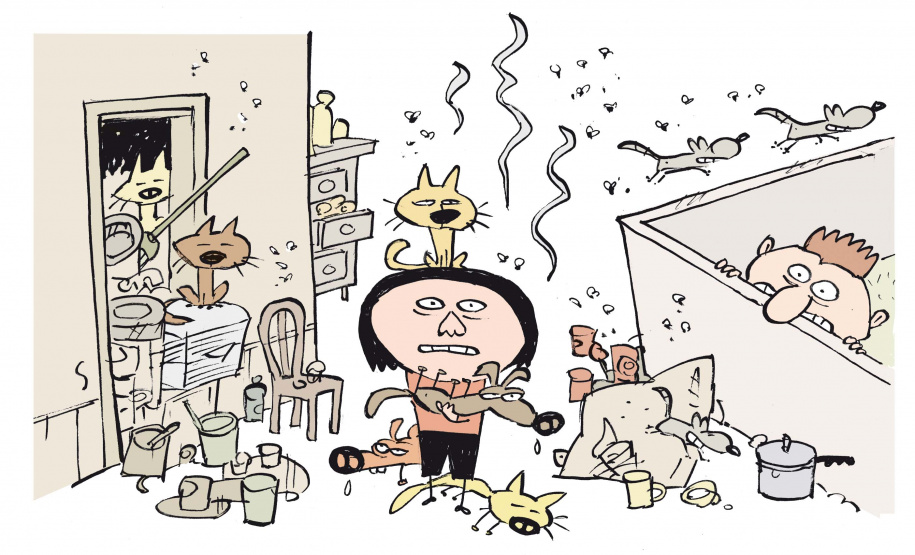 Pesquisa científica busca identificar acumuladores de animais. Foto: UFPR