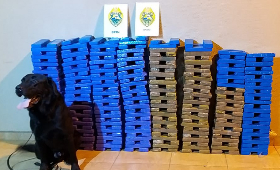 As forças de segurança pública do Paraná apreenderam 36,8 toneladas a mais de drogas no primeiro trimestre de 2021, em comparação com o mesmo período do ano passado. O número representa um aumento de 148,06% nas apreensões, segundo os dados da Secretaria Estadual da Segurança Pública, divulgado nesta segunda-feira (17/05). - Curitiba, 17/05/2021 - Foto: SESP/PR