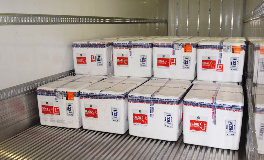 Chegaram ao Paraná, na noite desta segunda-feira (18), 374.100 novas doses do imunizante Covishield, produzido na parceria entre Universidade de Oxford, AstraZeneca e Fundação Oswaldo Cruz (Fiocruz).  -  Curitiba, 17/05/2021  -  Foto: Américo Antonio/SESA