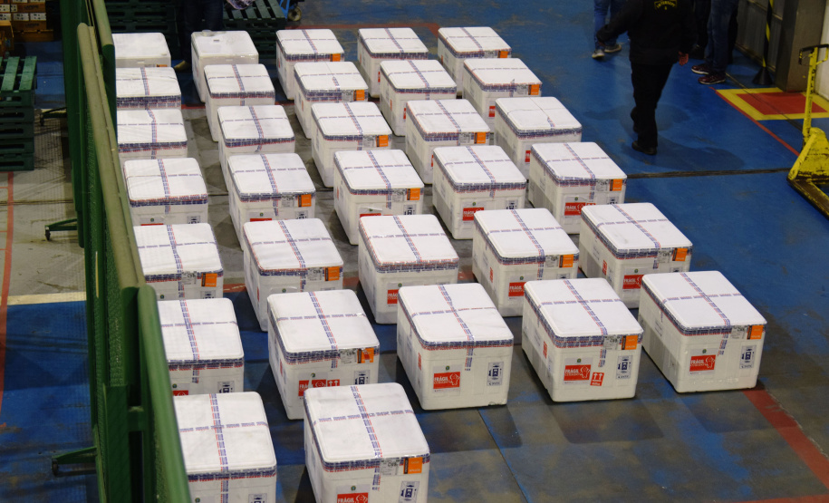 Chegaram ao Paraná, na noite desta segunda-feira (18), 374.100 novas doses do imunizante Covishield, produzido na parceria entre Universidade de Oxford, AstraZeneca e Fundação Oswaldo Cruz (Fiocruz).  -  Curitiba, 17/05/2021  -  Foto: Américo Antonio/SESA