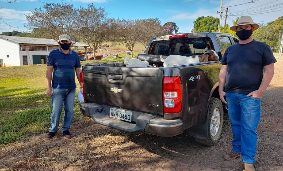 IDR-Paraná entrega caprinos com genética superior
. Foto: IDR