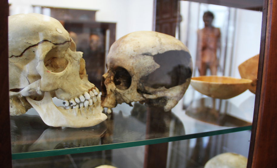 No dia Internacional do Museu (18 de maio), a Secretaria de Estado da Segurança Pública do Paraná (Sesp) destaca um personagem que tem total conexão com o Museu de Ciências Forenses da Polícia Científica do Paraná (PCP), o curador Joel Camargo, responsável por cuidar do acervo e que passou por todas as transformações da instituição e, também, do museu, em mais de 40 anos de trabalho e dedicação