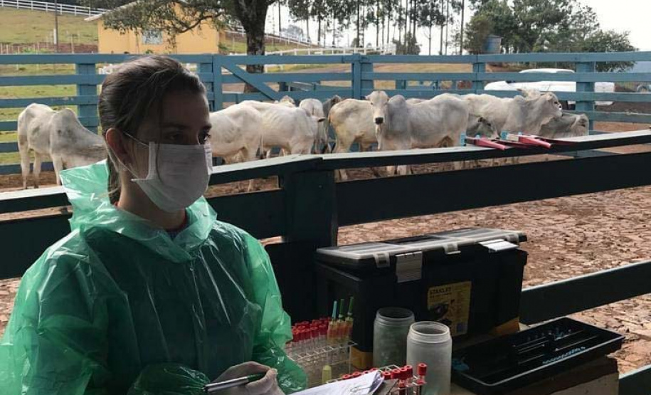 Pesquisa pretende prever possíveis pandemias provocadas pela relação do homem com os animais
. Foto: Adapar