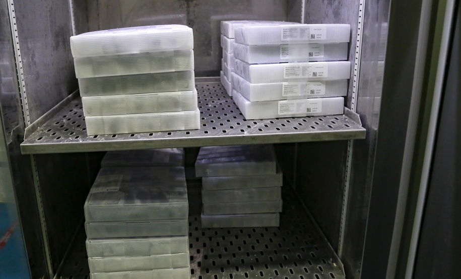 vacinas contra Covid-19 produzidas pela parceria entre Pfizer e BioNTech. O terceiro lote dos imunizantes, que chegou  à Capital nesta terça-feira (18), com mais 39.780 doses
Foto Gilson Abreu/AEN