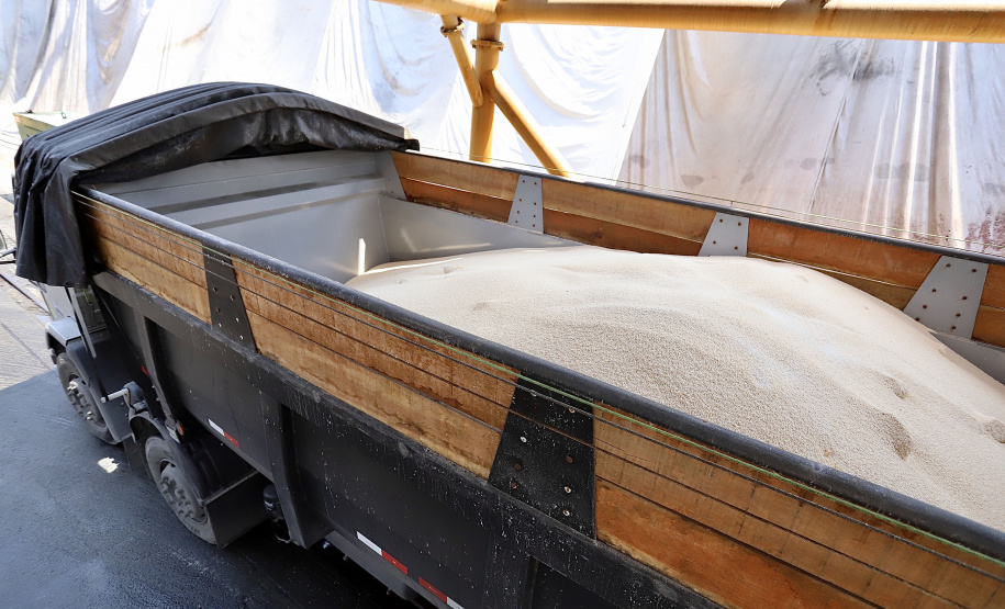 Descarga de fertilizantes está mais eficiente e a produtividade média, por dia, cresceu 20% em 2021. No primeiro quadrimestre deste ano foram 42.890 toneladas de adubo descarregadas diariamente. - Paranaguá, 19/05/2021 - Foto: Claudio Neves/Portos do Paraná