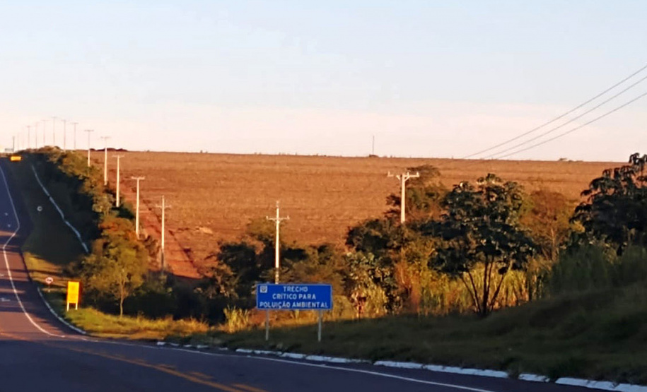 A construção de redes trifásicas para atendimento às áreas rurais em todo o Paraná vai diminuir os desligamentos e trazer mais segurança também para o agronegócio de Umuarama e municípios da região. As equipes de obras da Copel estão em campo para a construção de 162 quilômetros de novas redes em Altônia, Cruzeiro do Oeste, Iporã, Maria Helena, Tapira, Umuarama e Xambrê.  -  Curitiba, 19/05/2021  -  Foto: Copel