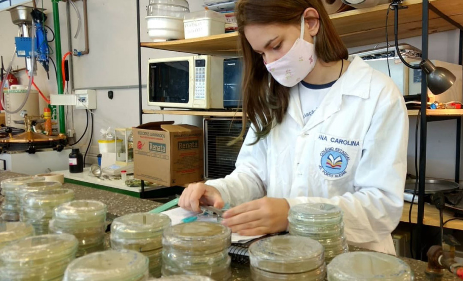 Acontece nos Estados Unidos a Regeneron ISEF 2021, maior feira internacional de Ciências e Engenharia, que este ano é realizada com participações virtuais devido à pandemia