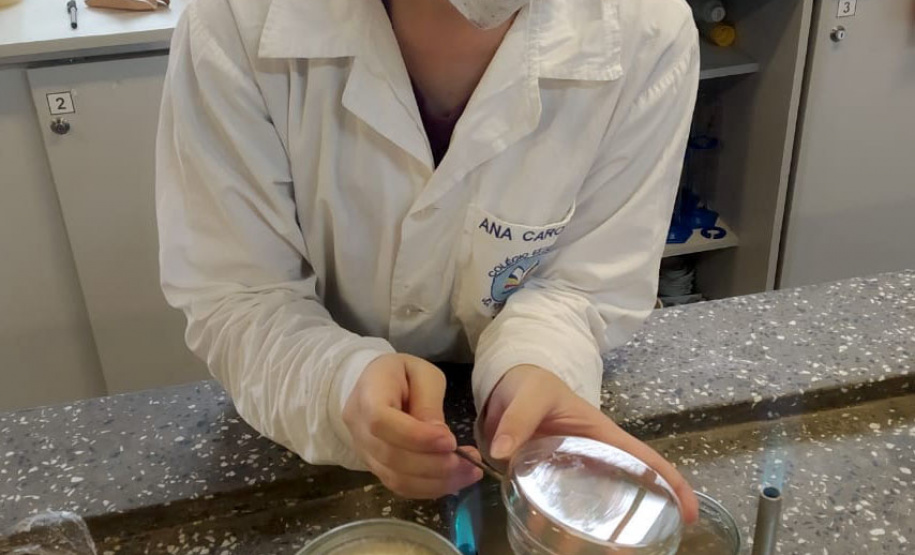 Acontece nos Estados Unidos a Regeneron ISEF 2021, maior feira internacional de Ciências e Engenharia, que este ano é realizada com participações virtuais devido à pandemia