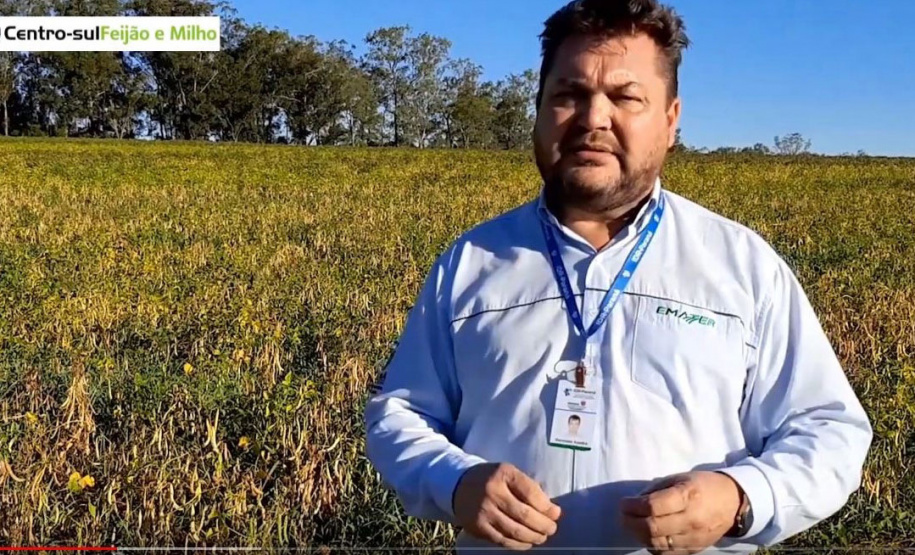 Vitrine Tecnológica do Feijão ganha versão virtual - Foto: IDR/EMATER