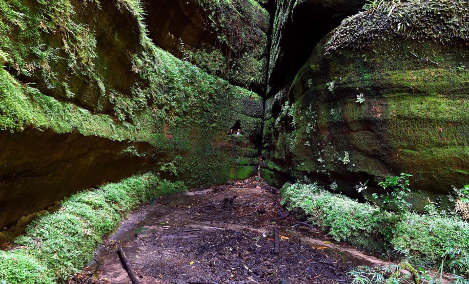 Parques estaduais fecham no próximo domingo - A medida é para evitar aglomeração e conter o avanço da Covid-19. Durante a semana os horários são diferenciados, respeitando as regras de distanciamento.  - Curitiba, 20/05/2021  -  Foto: SEDEST/IAT