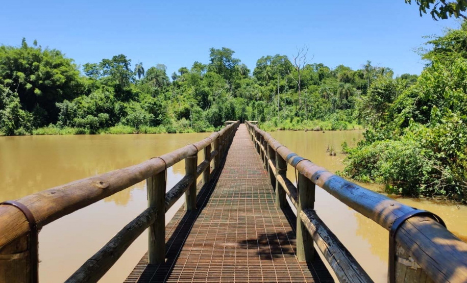 Parques estaduais fecham no próximo domingo - A medida é para evitar aglomeração e conter o avanço da Covid-19. Durante a semana os horários são diferenciados, respeitando as regras de distanciamento.  - Curitiba, 20/05/2021  -  Foto: SEDEST/IAT
