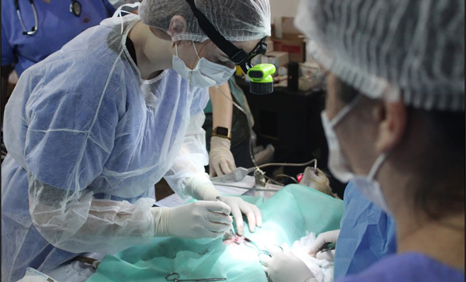 Projeto recebe recursos estaduais para esterilização de animais em ilhas no Paraná - Curitiba, 20/05/2021 - Foto: Briana Gomes/SEDEST