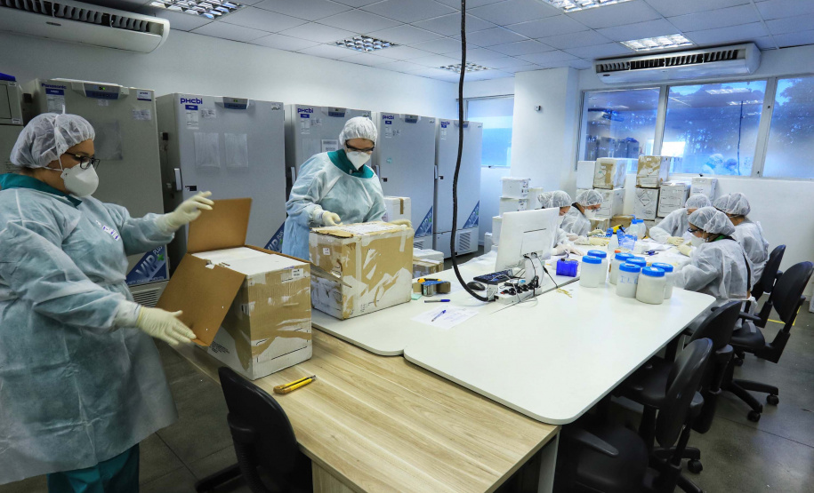 Paraná mantém liderança nacional em testagem padrão ouro para detecção da Covid-19. Foto: José Fernando Ogura/AEN