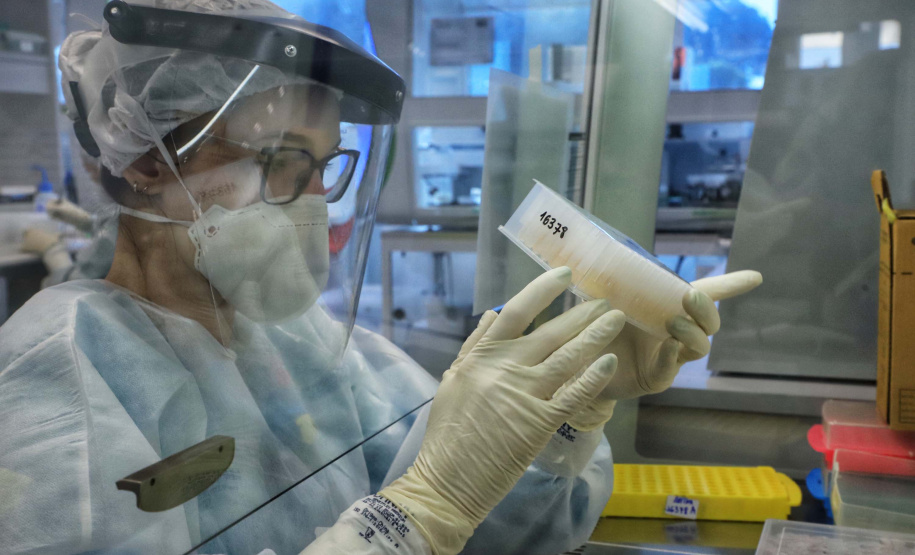 Paraná mantém liderança nacional em testagem padrão ouro para detecção da Covid-19. Foto: José Fernando Ogura/AEN