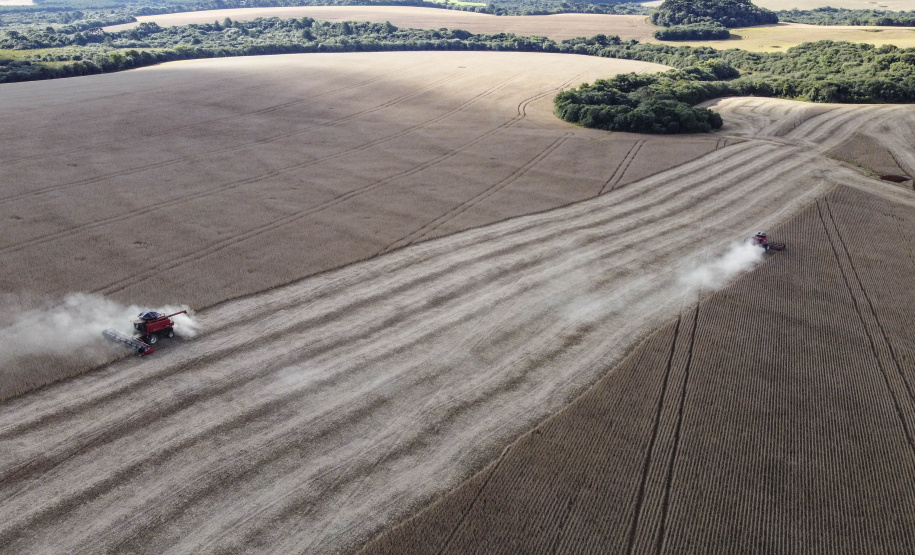 Colheita da soja  -  Foto: Jonathan Campos/AEN