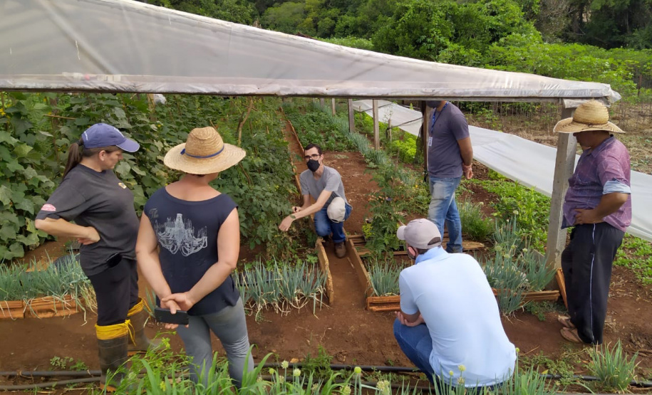 O serviço de Extensão Rural do Paraná completa 65 anos de atuação. Desde a criação do Escritório Técnico de Agricultura (ETA), em 20 de maio de 1956, profissionais de diversas áreas atuam para promover o desenvolvimento rural sustentável, coordenando, articulando e executando assistência técnica e extensão rural junto aos produtores. - Curitiba, 21/05/2021 - Foto: IDR/PR