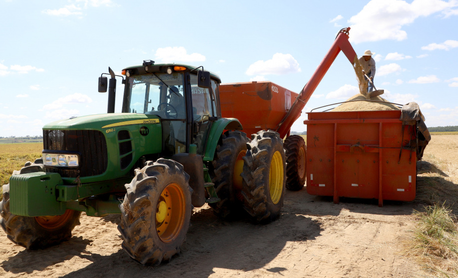 Fazenda Bassani em Santa Isabel do Ivaí. Foto: Ari Dias/AEN