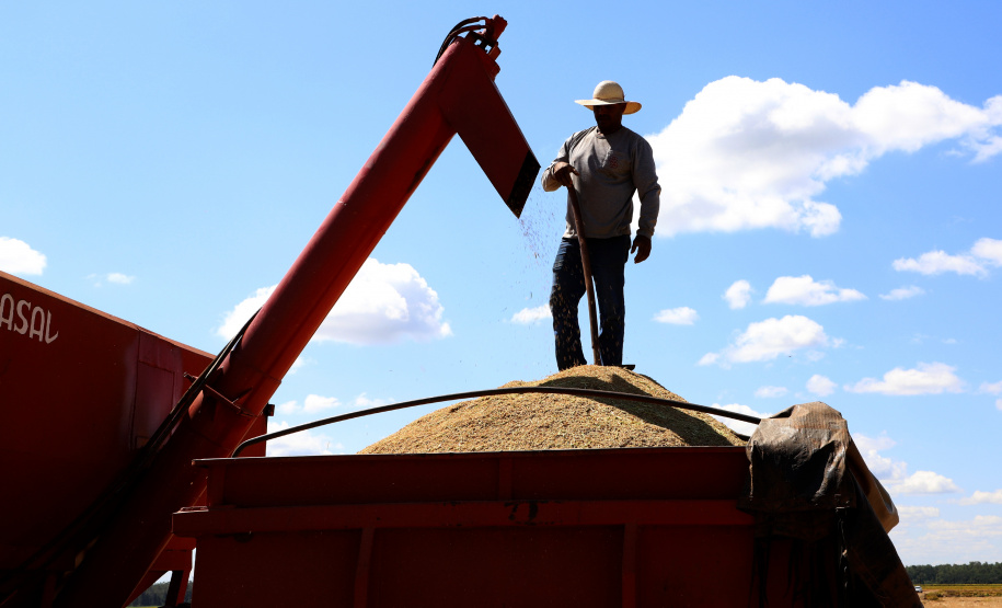 Fazenda Bassani em Santa Isabel do Ivaí. Foto: Ari Dias/AEN