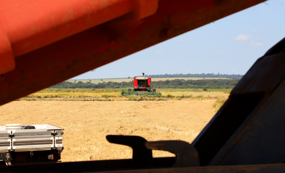 Fazenda Bassani em Santa Isabel do Ivaí. Foto: Ari Dias/AEN