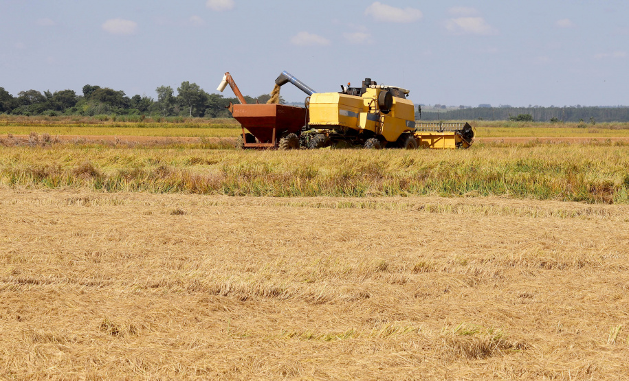 Fazenda Bassani em Santa Isabel do Ivaí. Foto: Ari Dias/AEN