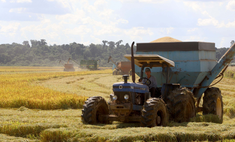 Colheita de arroz - Fazendas Volta Grande e Nova Brasília.Foto: Ari Dias/AEN