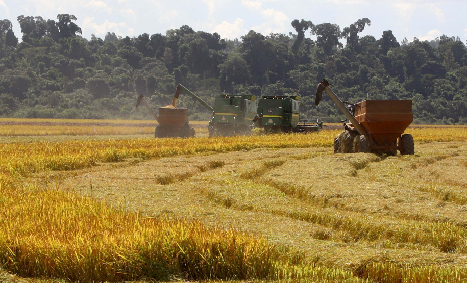 Colheita de arroz - Fazendas Volta Grande e Nova Brasília.Foto: Ari Dias/AEN