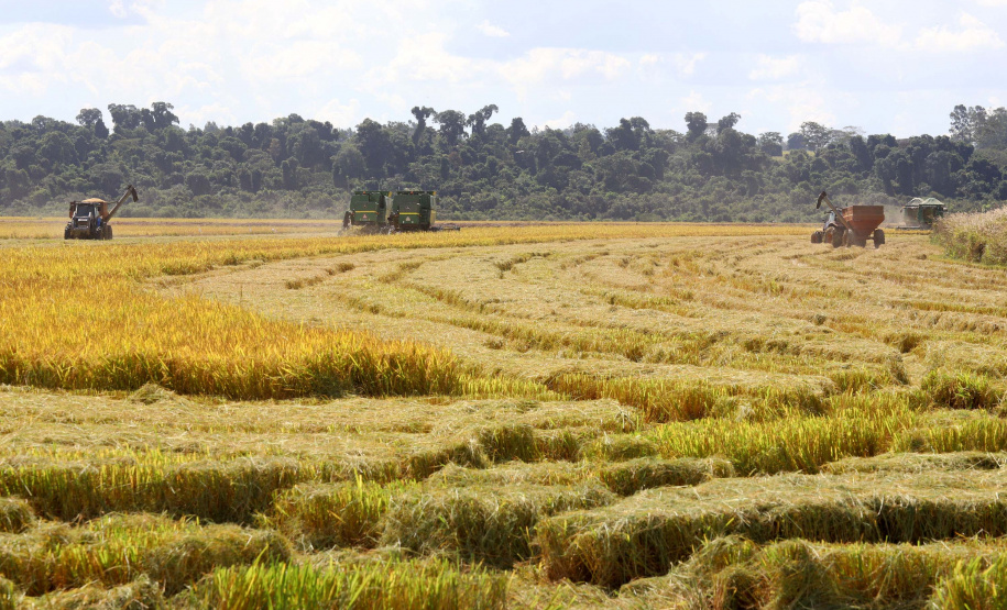 Colheita de arroz - Fazendas Volta Grande e Nova Brasília.Foto: Ari Dias/AEN
