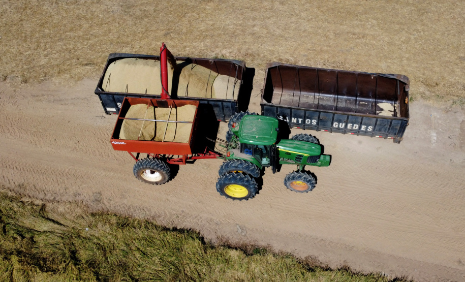 Fazenda Bassani em Santa Isabel do Ivaí. Foto: Ari Dias/AEN