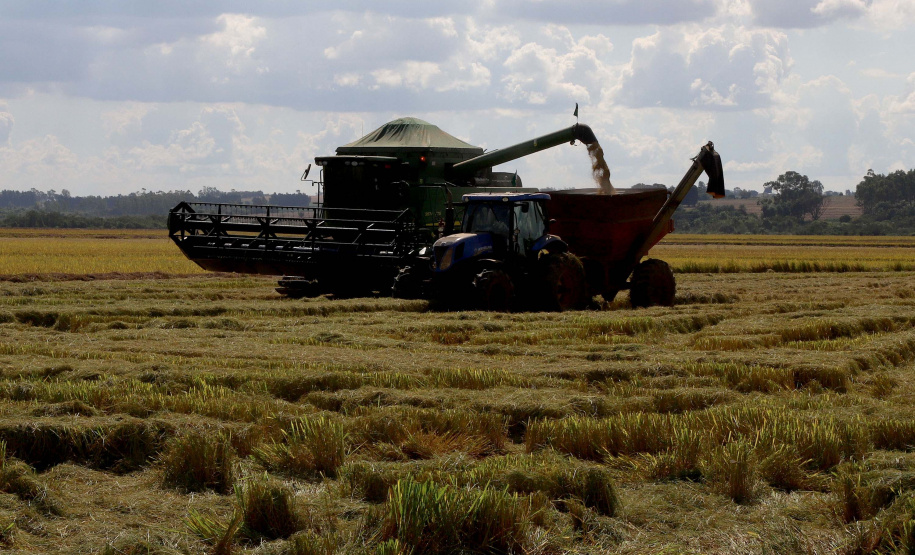Colheita de arroz - Fazendas Volta Grande e Nova Brasília.Foto: Ari Dias/AEN