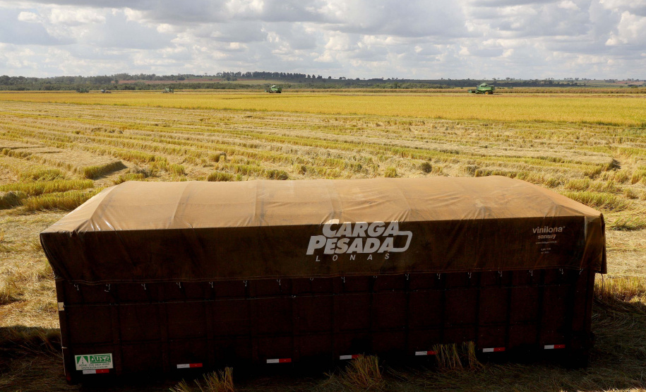 Colheita de arroz - Fazendas Volta Grande e Nova Brasília.Foto: Ari Dias/AEN
