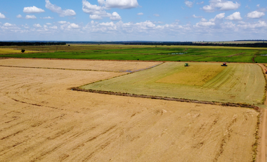 Fazenda Bassani em Santa Isabel do Ivaí. Foto: Ari Dias/AEN