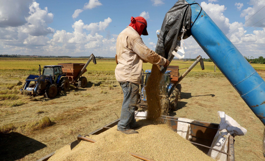 Colheita de arroz - Fazendas Volta Grande e Nova Brasília.Foto: Ari Dias/AEN