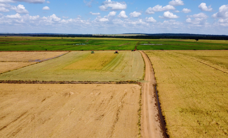 Fazenda Bassani em Santa Isabel do Ivaí. Foto: Ari Dias/AEN