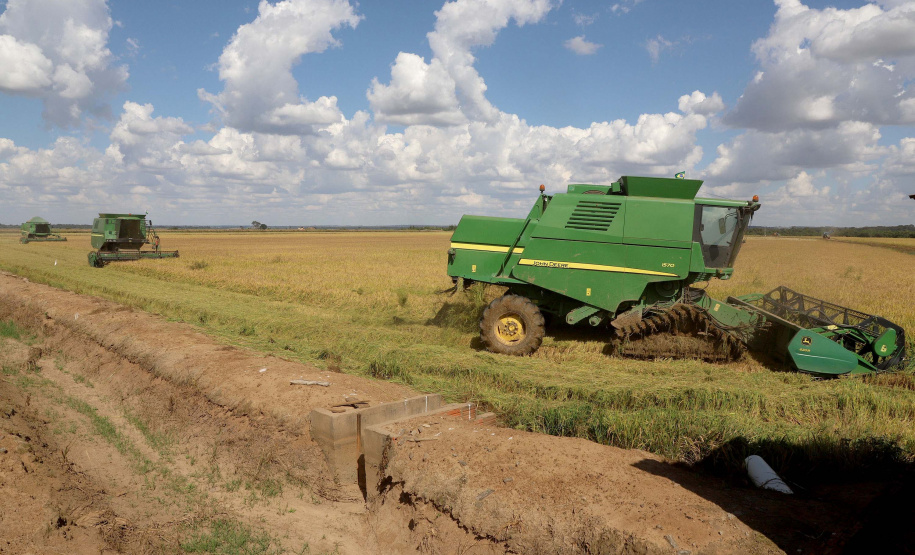 Colheita de arroz - Fazendas Volta Grande e Nova Brasília.Foto: Ari Dias/AEN
