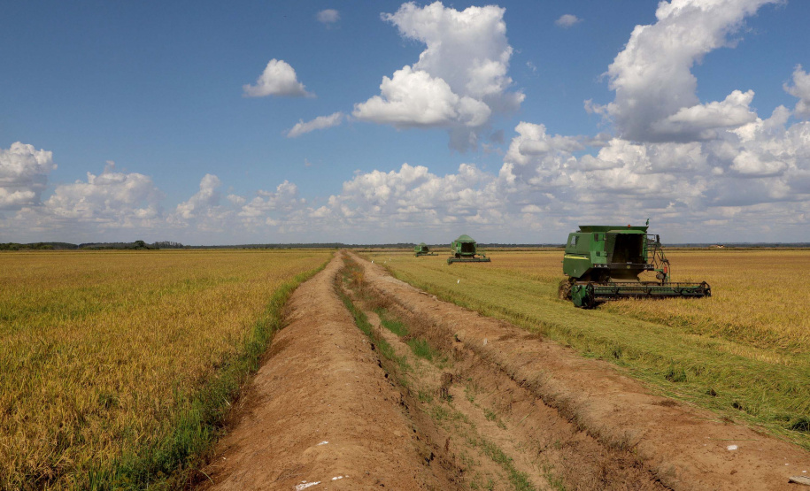 Colheita de arroz - Fazendas Volta Grande e Nova Brasília.Foto: Ari Dias/AEN