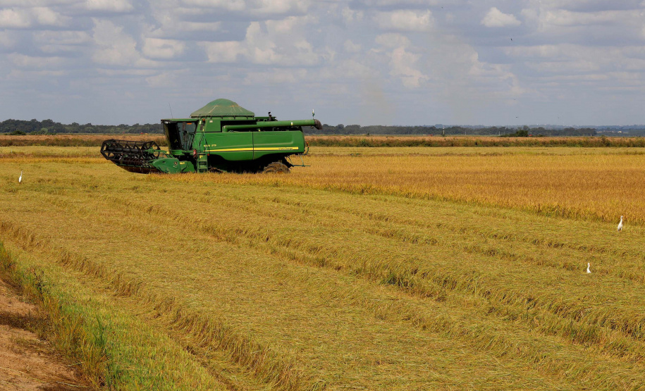 Colheita de arroz - Fazendas Volta Grande e Nova Brasília.Foto: Ari Dias/AEN