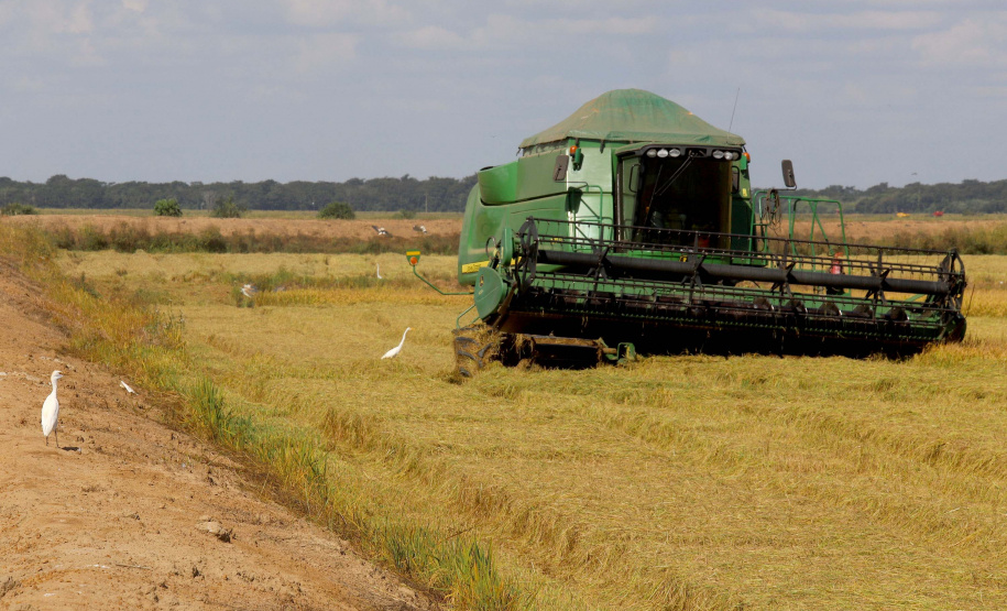 Colheita de arroz - Fazendas Volta Grande e Nova Brasília.Foto: Ari Dias/AEN