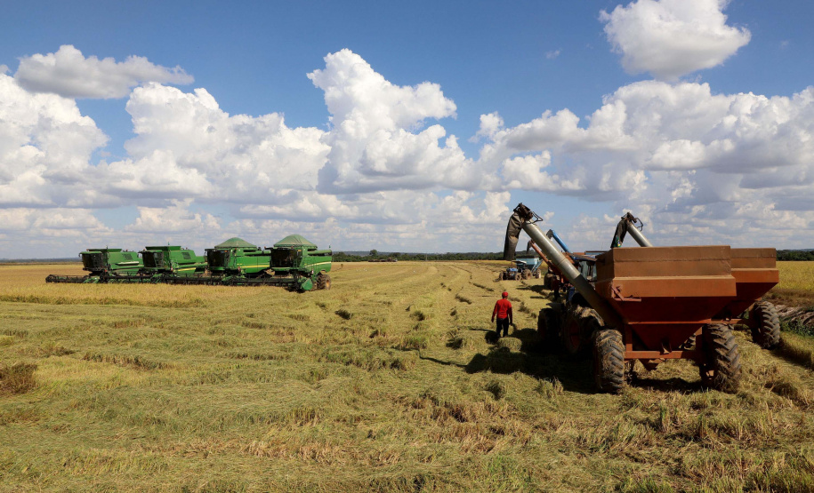 Colheita de arroz - Fazendas Volta Grande e Nova Brasília.Foto: Ari Dias/AEN