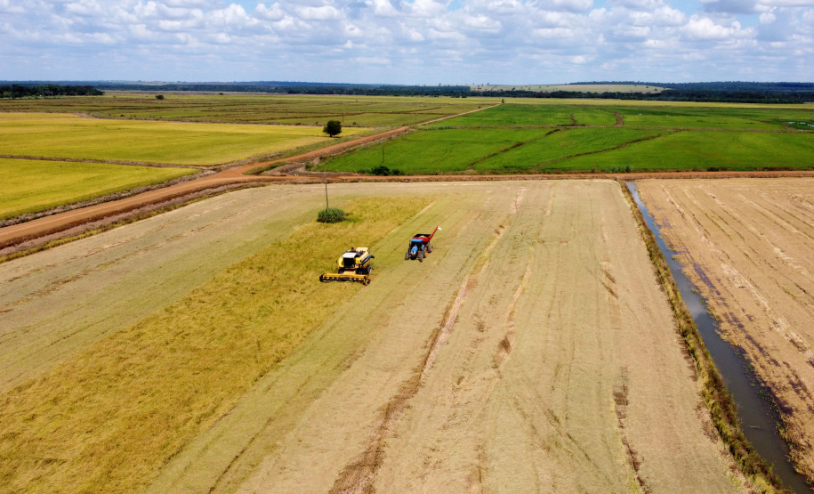 Fazenda Bassani em Santa Isabel do Ivaí. Foto: Ari Dias/AEN