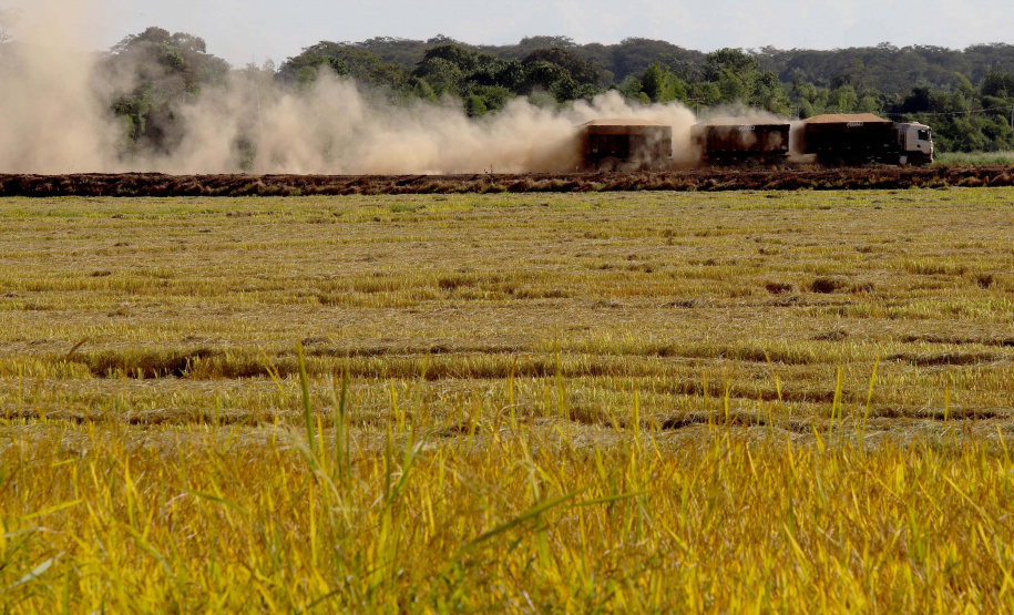 Colheita de arroz - Fazendas Volta Grande e Nova Brasília.Foto: Ari Dias/AEN