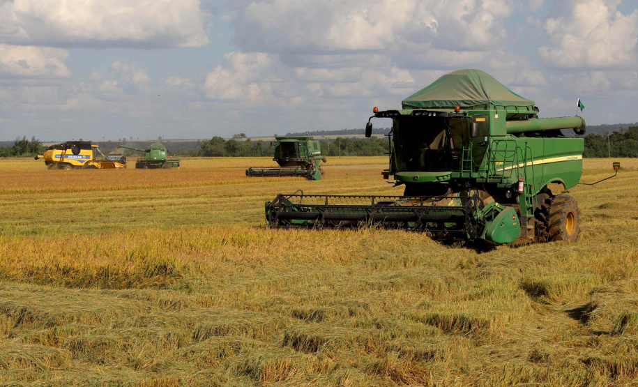 Colheita de arroz - Fazendas Volta Grande e Nova Brasília.Foto: Ari Dias/AEN
