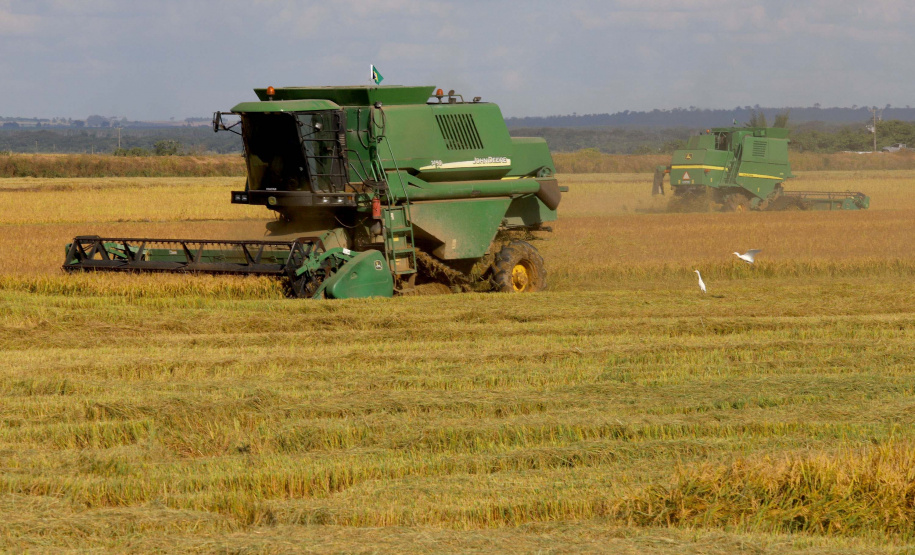 Colheita de arroz - Fazendas Volta Grande e Nova Brasília.Foto: Ari Dias/AEN