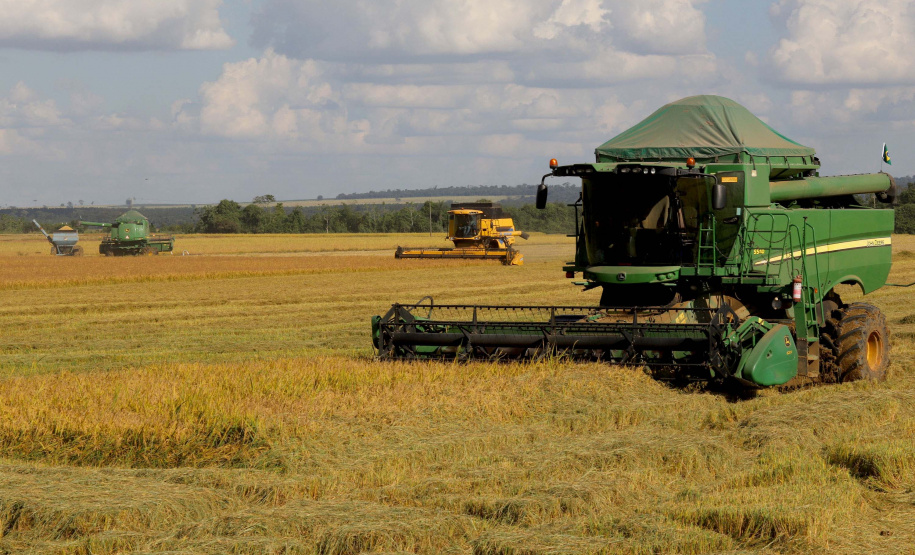 Colheita de arroz - Fazendas Volta Grande e Nova Brasília.Foto: Ari Dias/AEN