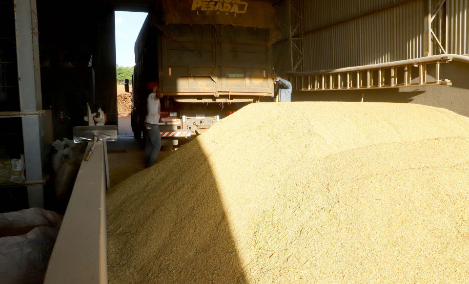 Colheita de arroz - Fazendas Volta Grande e Nova Brasília.Foto: Ari Dias/AEN