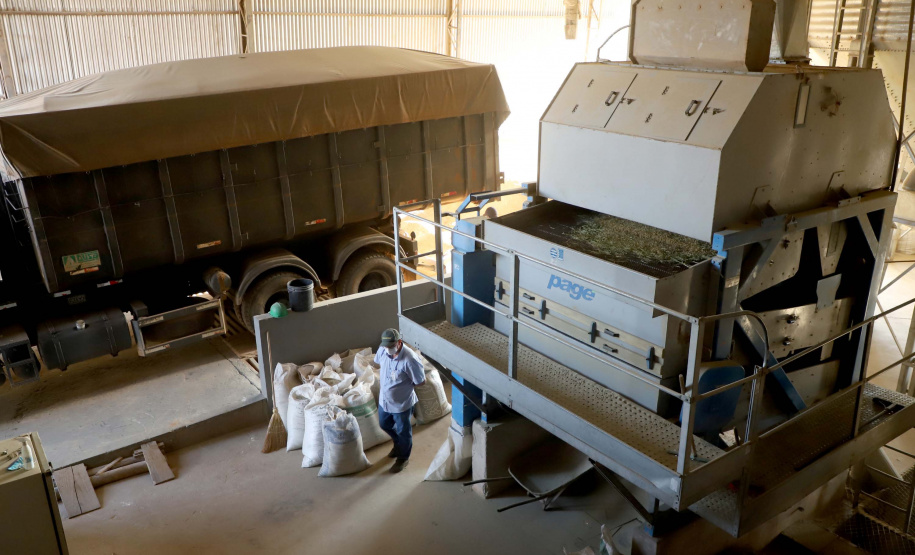 Colheita de arroz - Fazendas Volta Grande e Nova Brasília.Foto: Ari Dias/AEN